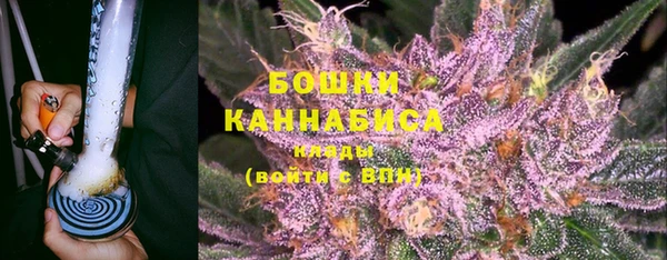 PSILOCYBIN Алексеевка