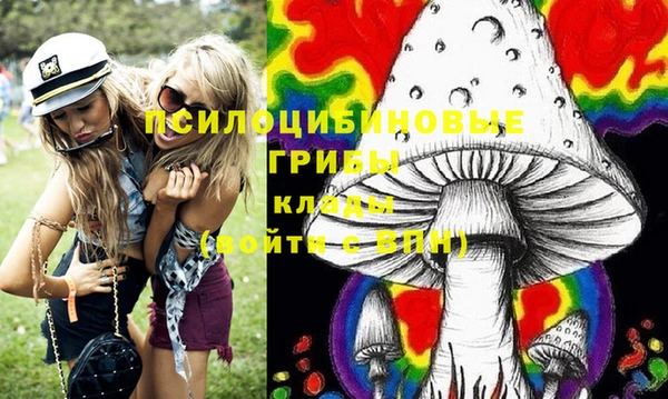мяу мяу мука Приозерск