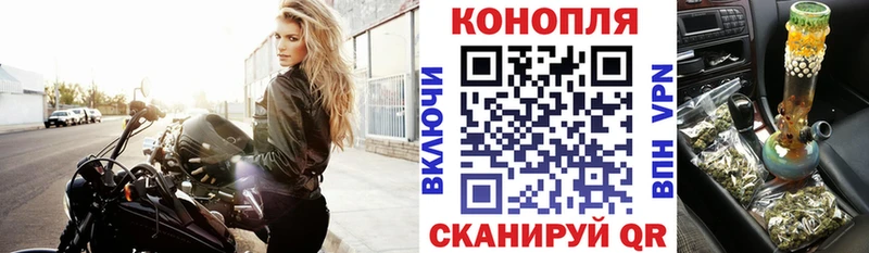 Канабис ГИДРОПОН  Грязовец 